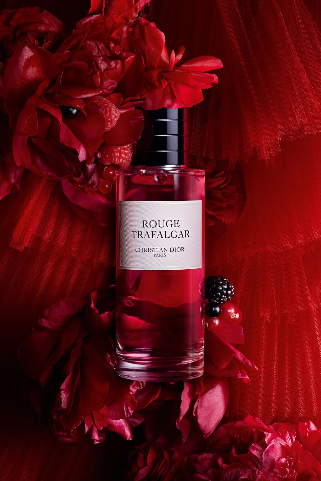Rouge Trafalgar
