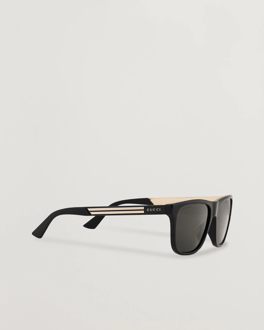 GG0687s polarized