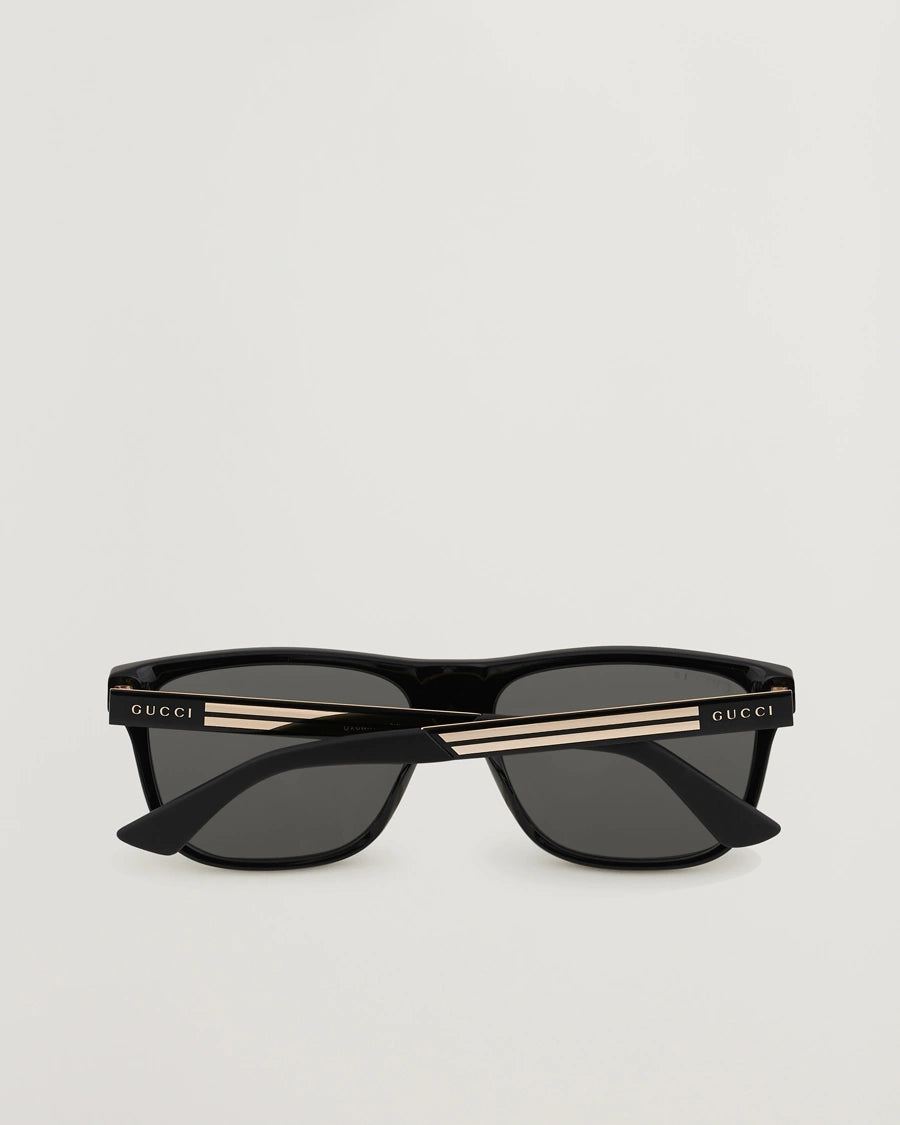 GG0687s polarized