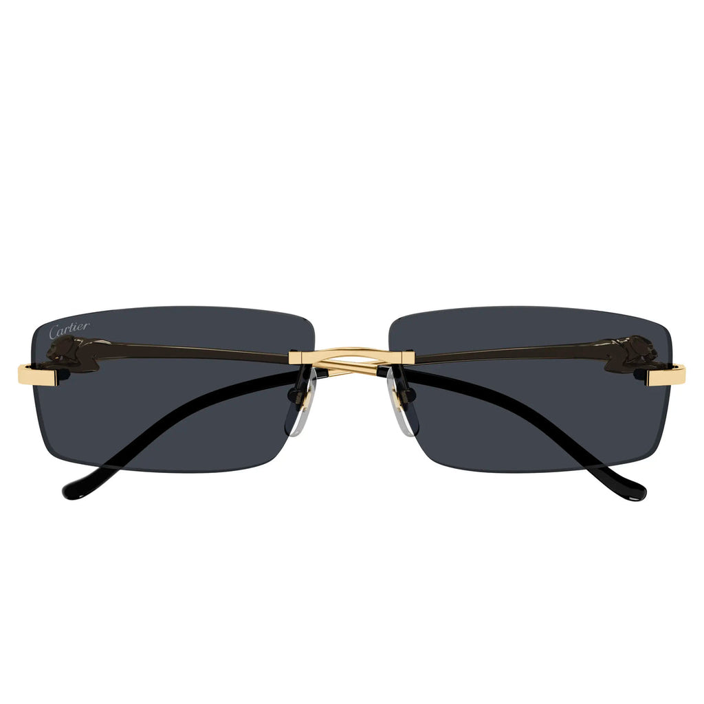 Cartier Eyewear
Cartier Eyewear CT0430S-001