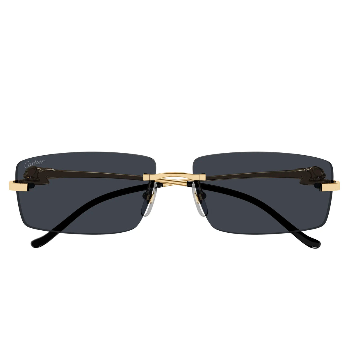 Cartier Eyewear
Cartier Eyewear CT0430S-001